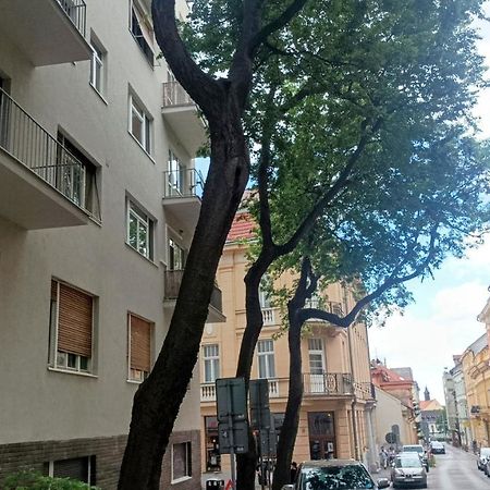 Nice Flat Under The Castle 布拉迪斯拉发 外观 照片